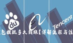 电子钱包提现多久到账?详解流程与注意事项