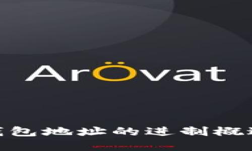 : 区块链钱包地址的进制概述及其意义