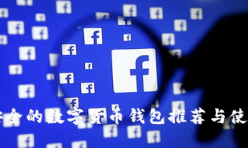 比较安全的数字货币钱包推荐与使用指南