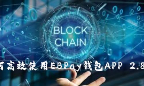 完整指南：如何高效使用EBPay钱包APP 2.8.0及其新功能
