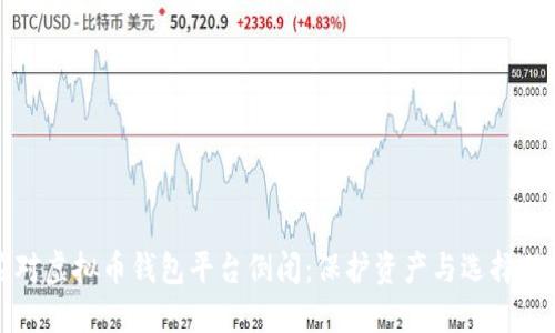 如何应对虚拟币钱包平台倒闭:保护资产与选择替代方案