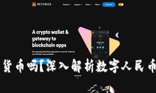 中国能用数字货币吗?深入解析数字人民币的未来与应用