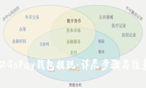 如何从GoPay钱包提现：详尽步骤与注意事项