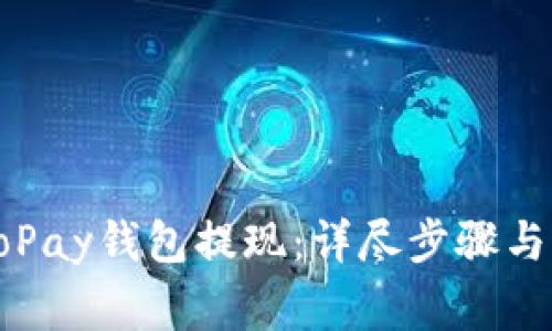 如何从GoPay钱包提现：详尽步骤与注意事项
