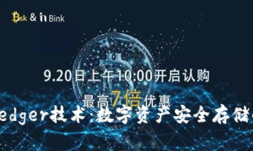 探索Ledger技术：数字资产安全存储的未来