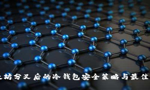 以太坊分叉后的冷钱包安全策略与最佳实践