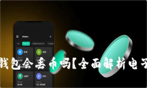 虚拟货币钱包会丢币吗?全面解析电子资产安全