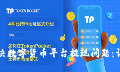 如何解决数字货币平台提现问题：详尽指南