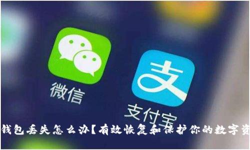 冷钱包丢失怎么办？有效恢复和保护你的数字资产