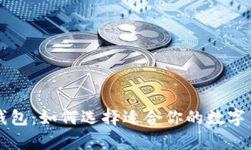 热钱包与冷钱包:如何选择适合你的数字货币储存方式
