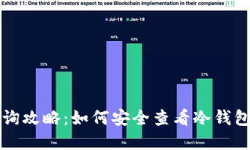 冷钱包查询攻略：如何安全查看冷钱包中的资产