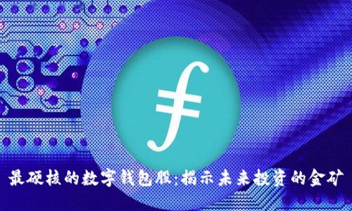 最硬核的数字钱包股：揭示未来投资的金矿