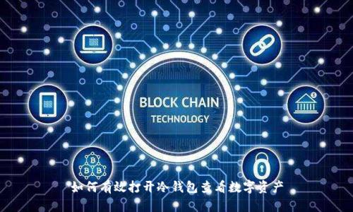 如何有效打开冷钱包查看数字资产