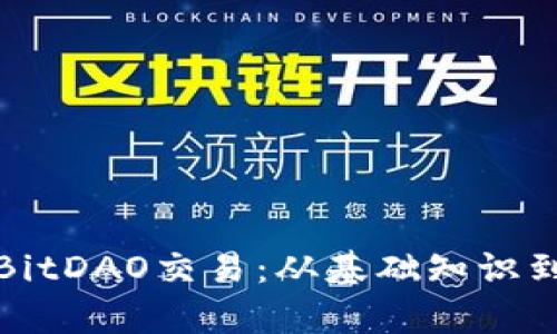 全面解析BitDAO交易：从基础知识到交易策略