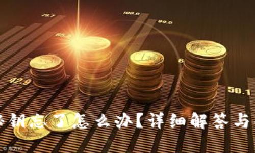 冷钱包秘钥忘了怎么办?详细解答与解决方案