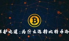 数字财富的保护之道：为什么选择比特币冷钱包