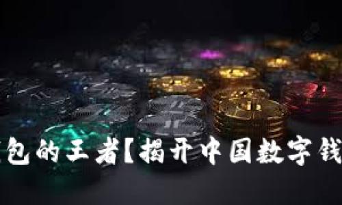 谁才是数字钱包的王者?揭开中国数字钱包的排名之争