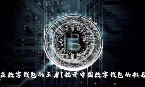 谁才是数字钱包的王者?揭开中国数字钱包的排名之争