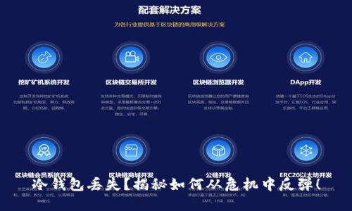 冷钱包丢失？揭秘如何从危机中反弹！