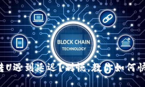 冷钱包转U遇到延迟？别慌，教你如何快速解决！