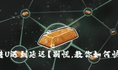 冷钱包转U遇到延迟？别慌，教你如何快速解决！