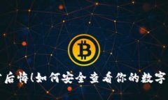 别等丢失才后悔!如何安全查看你的数字钱包助