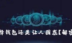 在虚拟币交易中,选择钱包还是让人困惑?解密