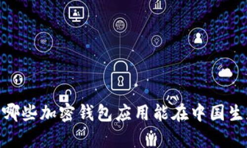 探索未来：哪些加密钱包应用能在中国生存与发展？