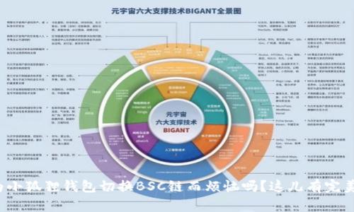 还在为小狐狸钱包切换BSC链而烦恼吗？这儿有完美指南！