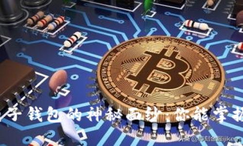 揭开区块链电子钱包的神秘面纱:你能掌握它的力量吗?