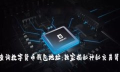 如何快速查询数字货币钱包地址：独家揭秘神秘