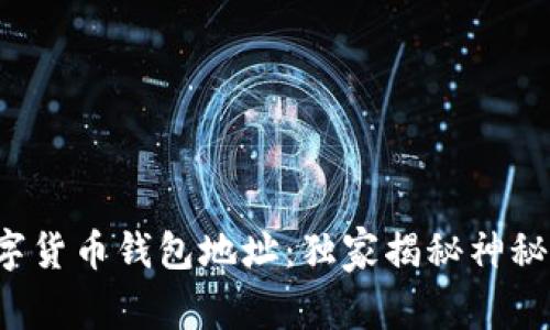 如何快速查询数字货币钱包地址：独家揭秘神秘交易背后的秘密！