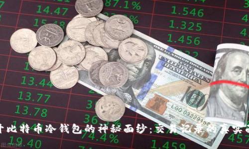 揭开比特币冷钱包的神秘面纱：交易记录的真实面貌