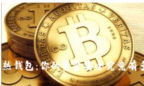 冷钱包与热钱包:你的资金安全究竟有多少保障?