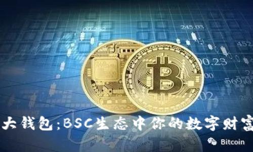 币圈三大钱包:BSC生态中你的数字财富保护者
