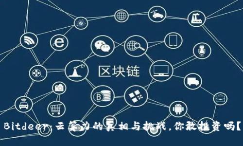 Bitdeer：云算力的真相与挑战，你敢投资吗？
