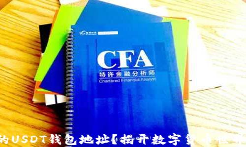 
如何找到你的USDT钱包地址？揭开数字货币世界的神秘面纱！