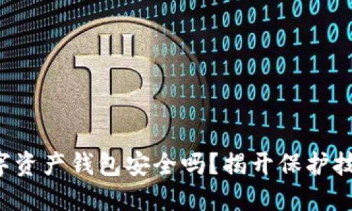 你的数字资产钱包安全吗？揭开保护技巧之谜！