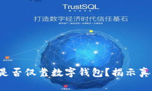 你的财富安全是否仅靠数字钱包?揭示真相与最佳选择!
