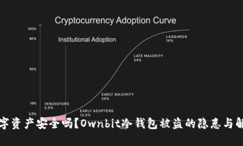 你的数字资产安全吗？Ownbit冷钱包被盗的隐患与解决方案