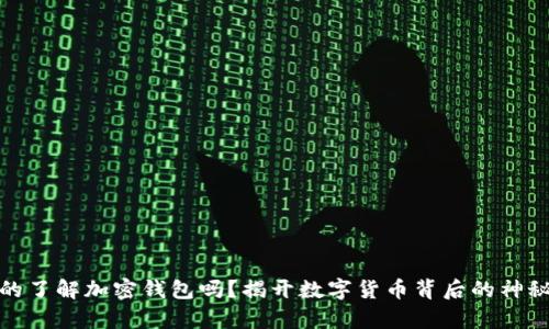 你真的了解加密钱包吗?揭开数字货币背后的神秘面纱