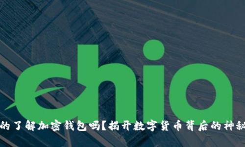 你真的了解加密钱包吗?揭开数字货币背后的神秘面纱