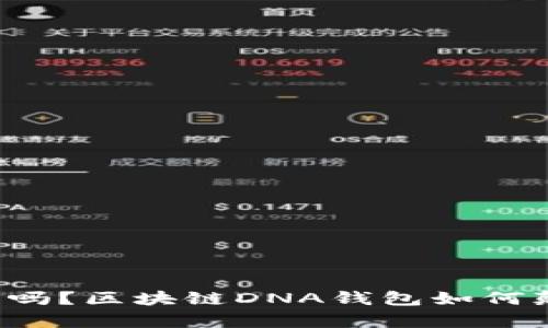 你的数字资产安全吗？区块链DNA钱包如何颠覆传统存储方式！