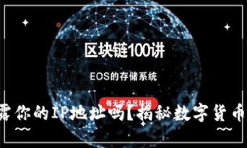 冷钱包会暴露你的IP地址吗？揭秘数字货币隐私的真相！