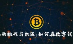 数字货币兑换的挑战与机遇：如何在数字钱包中