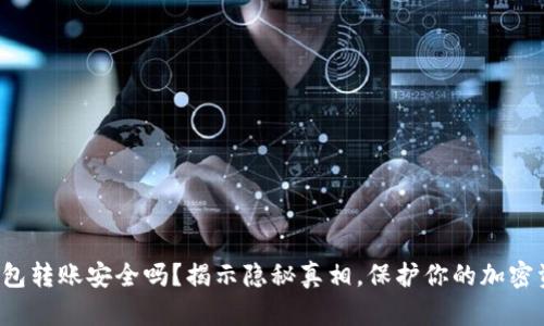 冷钱包转账安全吗？揭示隐秘真相，保护你的加密资产！