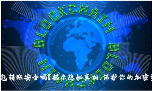 冷钱包转账安全吗？揭示隐秘真相，保护你的加密资产！