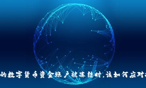 当你的数字货币资金账户被冻结时，该如何应对挑战？