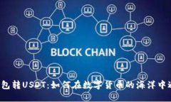 以太坊钱包转USDT：如何在数字货币的海洋中避免