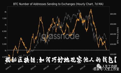 揭秘区块链：如何巧妙地观察他人的钱包？